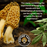 Mushrooms and Marijuana: Exploring Ohio's Bountiful Nature - Rapture Vapor - Smoke and Vape Shop