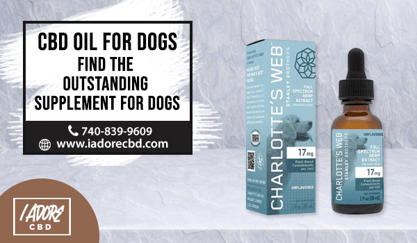 CBD Oil for Dogs: Find the Outstanding Supplement for Dogs - iadorecbd