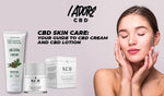 CBD Skin Care: Your Guide to CBD Cream and CBD Lotion - iadorecbd