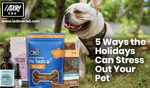 5 Ways the Holidays can Stress out your Pet - iadorecbd