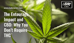 The Entourage Impact and CBD: Why you don't require THC - iadorecbd