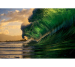 Are you riding the green wave? - iadorecbd