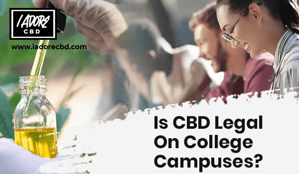 Is CBD Legal On College Campuses? - iadorecbd