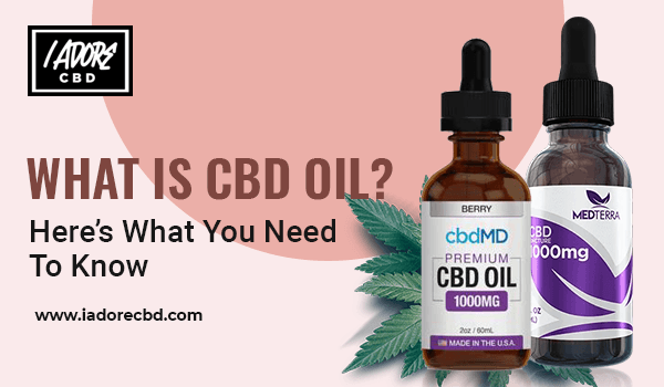What Is CBD Oil? Here’s What You Need To Know - iadorecbd