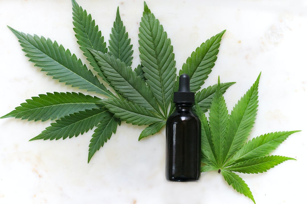 Is There a Superior Choice? The Debate Between CBG vs CBD